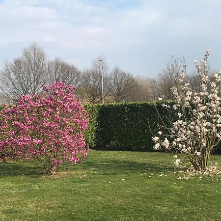 Il Salice Hotel Novara Bagian luar foto